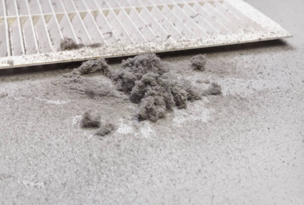 Best HVAC Duct Inspection Services  in Mays Landing, NJ